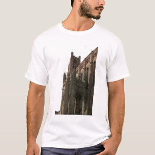 Camiseta Vista del derecho con el pórtico endoselado (pH