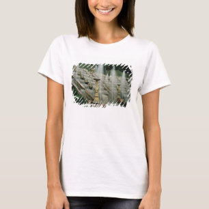 Camiseta Vista del DES Rocailles, 1680-83 de Bosquet (foto)
