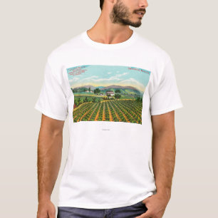 Camiseta Vista del Giersberg VineyardNapa, CA