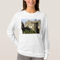 Vista del monasterio de la trinidad santa