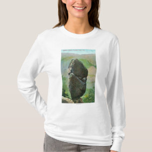 Camiseta Vista del parque nacional de Aggassiz