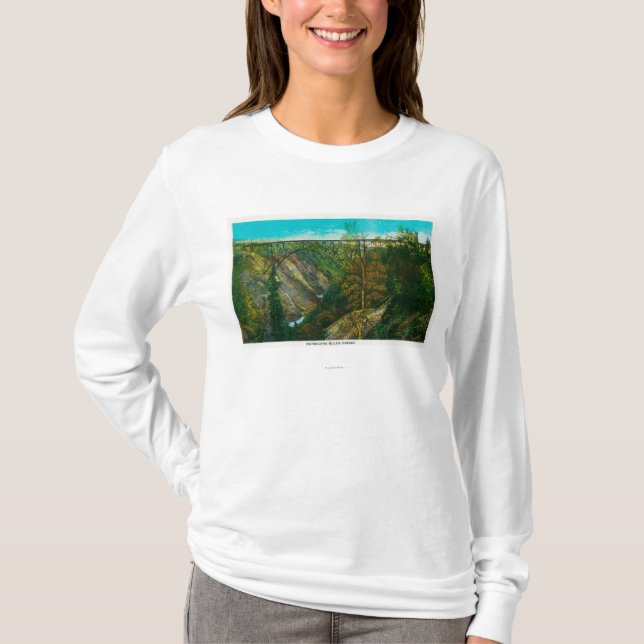 Camiseta Vista del puente de la quebrada del huracán, (Anverso)