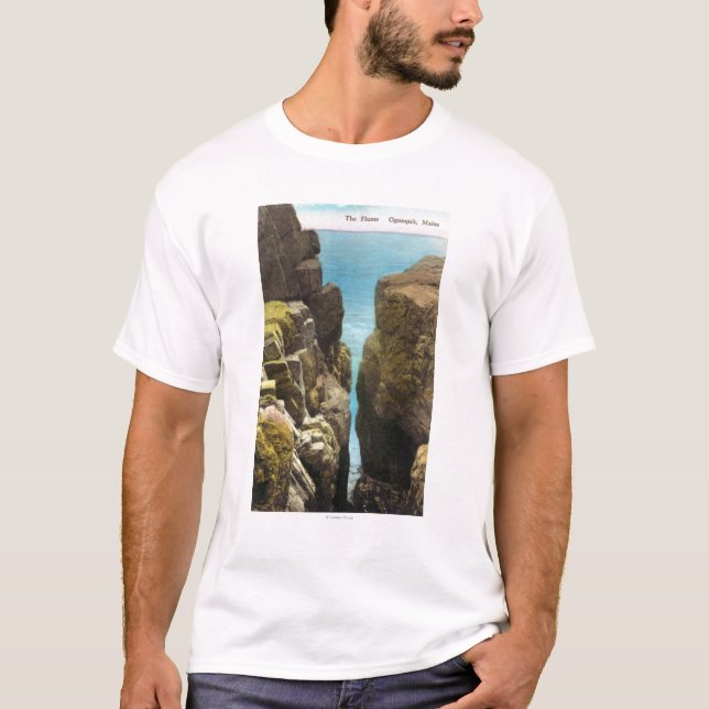 Camiseta Vista del saetín (Anverso)