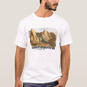 Camiseta Vista del sur de Sewandroog, ilustracion de 'Twelv