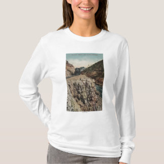 Camiseta Vista del tren de Canon de la caja