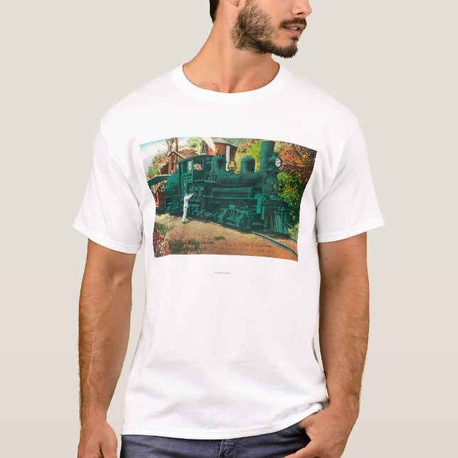 Camiseta Vista del tren ferroviario del Mt. Tamalpais (Anverso)