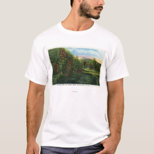 Camiseta Vista escénica del lago shadow y de la cabeza