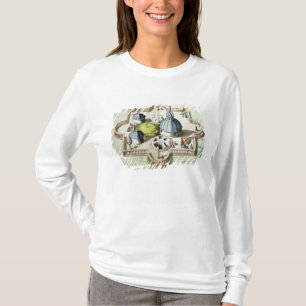Camiseta Vista general del observatorio