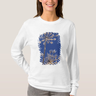 Camiseta Vista hacia arriba de la Chirivía de Vaca en invie
