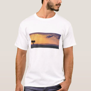 Camiseta Vista panorámica de un solo árbol de acacia en