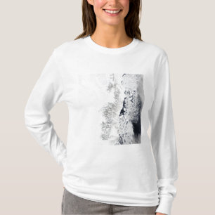 Camiseta Vista por satélite de la costa del este de