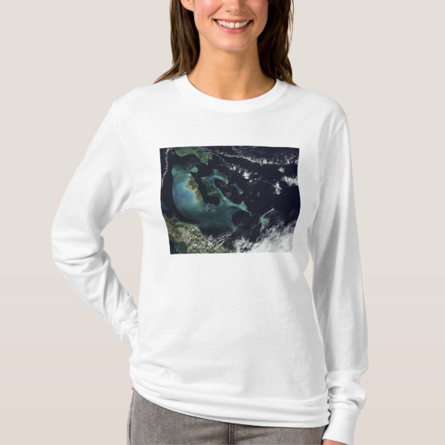 Camiseta Vista por satélite de las Islas Bahama (Anverso)