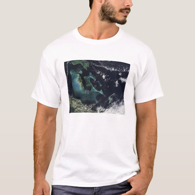 Camiseta Vista por satélite de las Islas Bahama (Anverso)