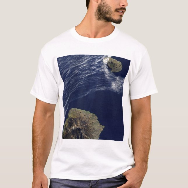Camiseta Vista por satélite de las Islas del Príncipe Eduar (Anverso)