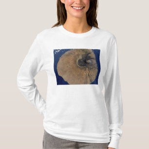 Camiseta Vista satelital del Monte Fogo