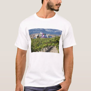 Camiseta Vistas a la ciudad y Hotel Marques de Riscal
