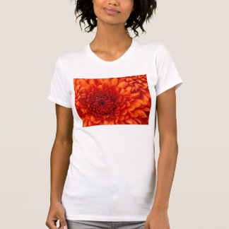 Camiseta volver a la escuela