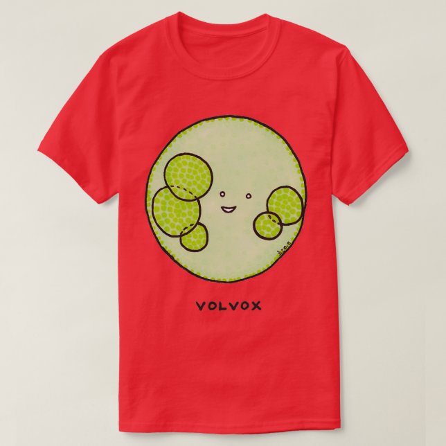 Camiseta Volvox de Algae (Diseño del anverso)