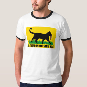 Camiseta Voy a dar clases donde quiera