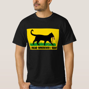 Camiseta Voy a dar clases donde quiera