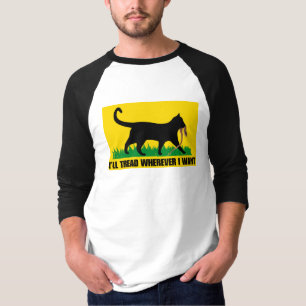 Camiseta Voy a dar clases donde quiera