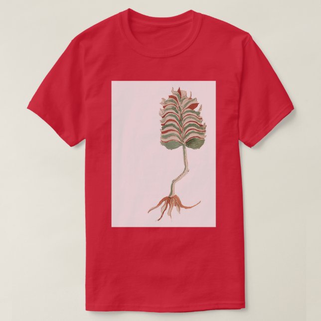 Camiseta Voynich Manuscript Plants (Diseño del anverso)