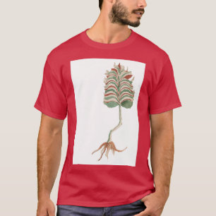 Camiseta Voynich Manuscript Plants