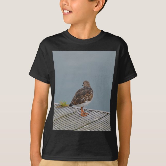 Camiseta Vuelvepiedras (Anverso)