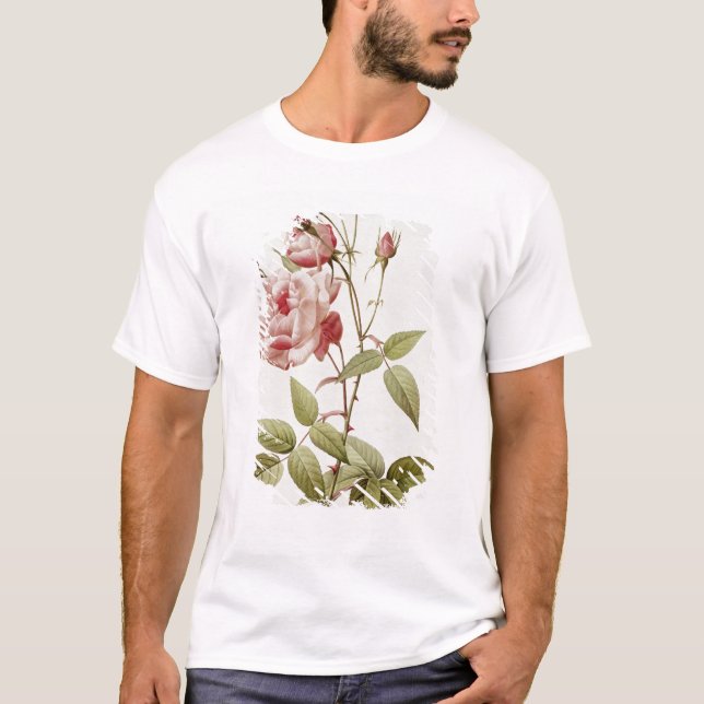 Camiseta Vulgaris Indica de Rosa, de los 'rosas de Les (Anverso)