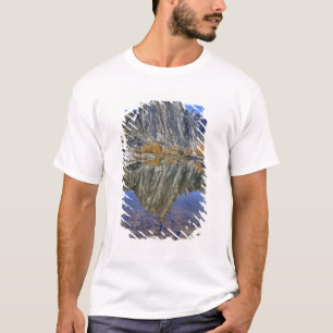 Camiseta WA, Alcantarillado de los lagos alpinos