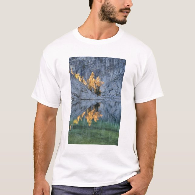 Camiseta WA, Alcantarillado de los Lagos Alpinos, encantami (Anverso)