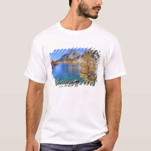 Camiseta WA, Bosque de los lagos alpinos, encantamiento 4