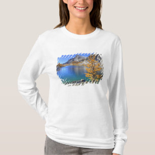 Camiseta WA, Bosque de los lagos alpinos, encantamiento 4