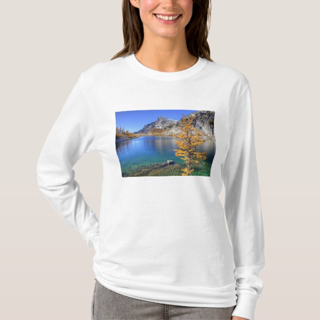 Camiseta WA, Bosque de los lagos alpinos, encantamiento 4 (Anverso)