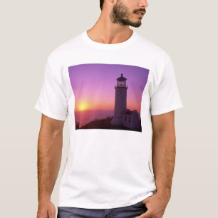 Camiseta WA, Cape Dispointstate Park, North Head 2