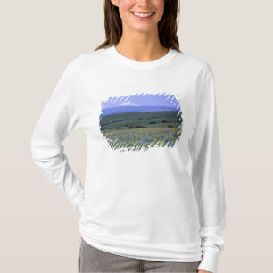 Camiseta WA, condado de Klickitat, Dalles Mountain Ranch,