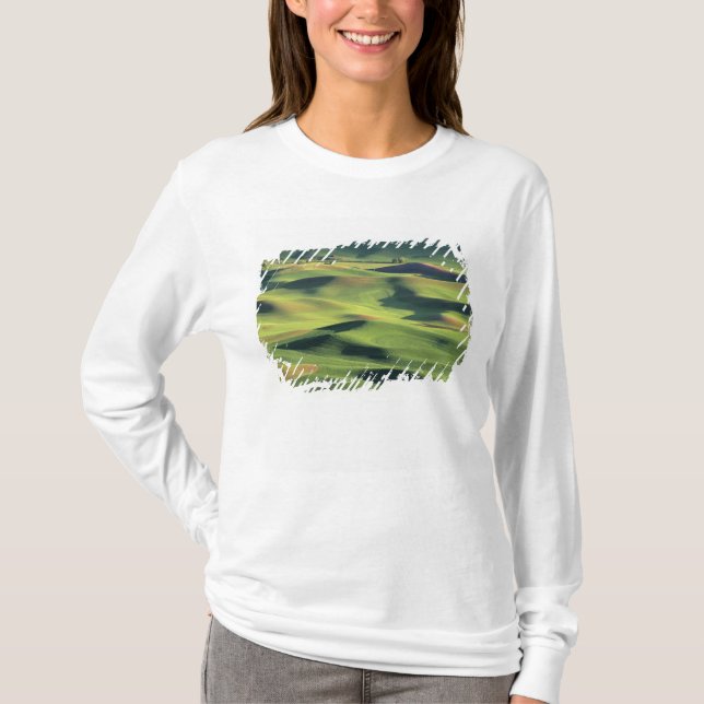Camiseta WA, Condado de Whitman, Palouse Farmland, ver (Anverso)