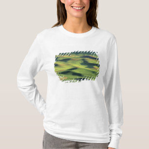 Camiseta WA, Condado de Whitman, tierras de cultivo de Palo