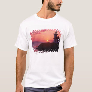 Camiseta WA, Isla San Juan, Faro Lime Kiln, 1919,