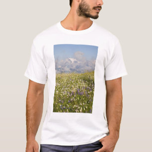 Camiseta WA, Mt. Baker Wilderness, el monte Shuksan y