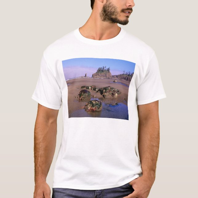Camiseta WA, Olympic NP, Second Beach con piscinas de marea (Anverso)