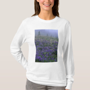 Camiseta WA, Parque Nacional Mt. Rainier, prado de Lupino y