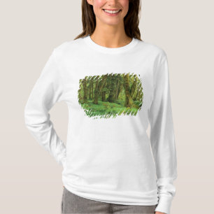 Camiseta WA, Parque Nacional Olímpico, Bosque Lluvioso Quin