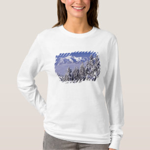 Camiseta WA, Parque Nacional Olímpico, Cordillera Olímpica,