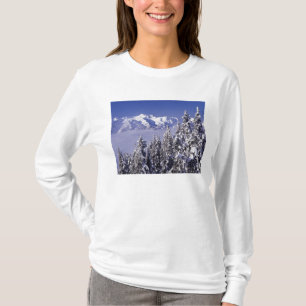 Camiseta WA, Parque Nacional Olímpico, Cordillera Olímpica,