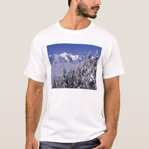Camiseta WA, Parque Nacional Olympic, Cordillera Olímpica,