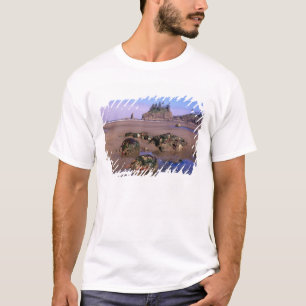 Camiseta WA, Parque Nacional Olympic, Segunda Playa con cha
