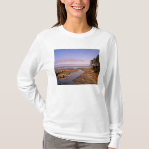 Camiseta WA, PN de Olympic, playa Kalaloch y Kalaloch