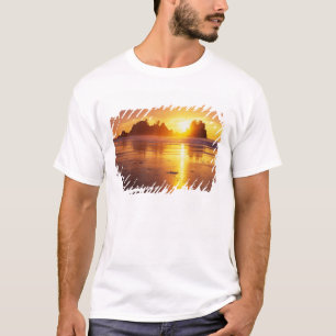 Camiseta WA, PN Olympic, playa Shi Shi al atardecer, Punta