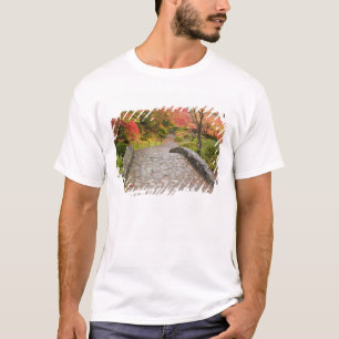 Camiseta WA, Seattle, Arboreto del Parque de Washington,